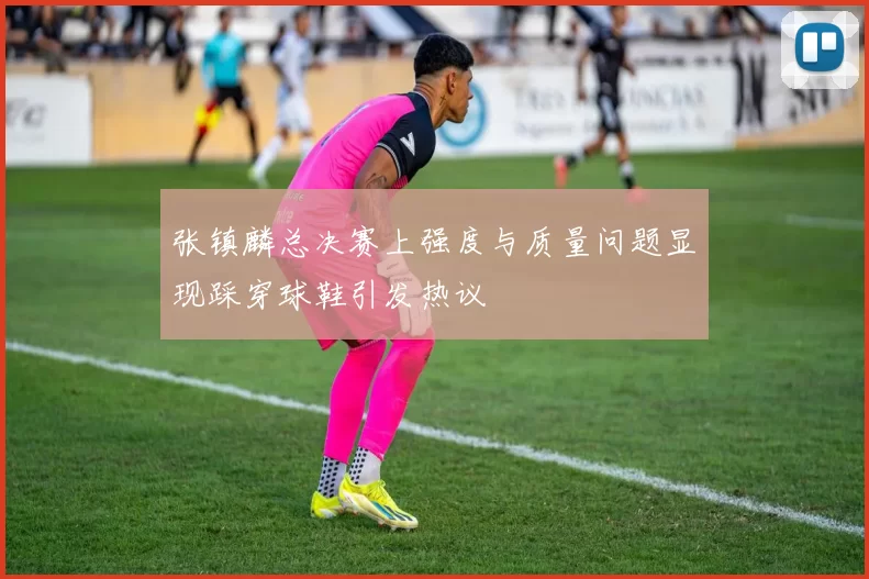 张镇麟总决赛上强度与质量问题显现踩穿球鞋引发热议