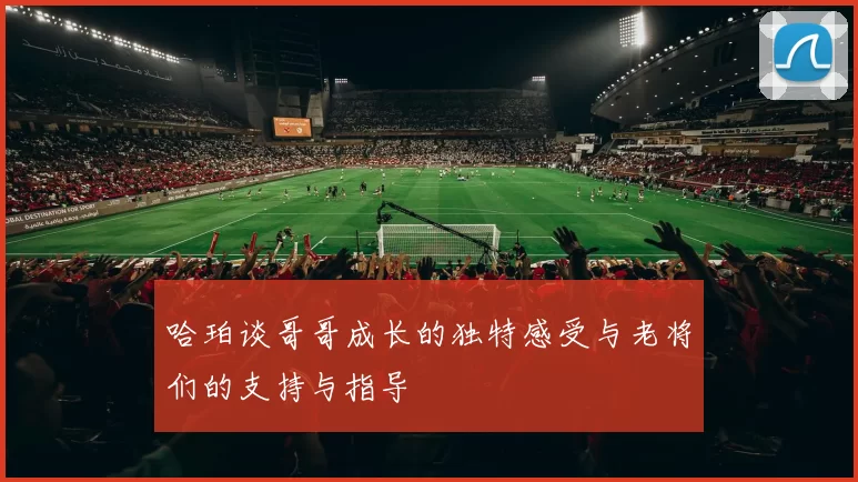 哈珀谈哥哥成长的独特感受与老将们的支持与指导
